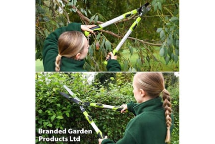 Hedge Shears & Loppers