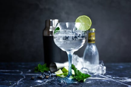 Luxury Gin Tasting for 2 at Durham Ginstitute - 3 G&Ts Each