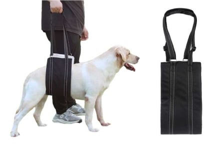 Portable Dog Sling Support For Back Legs