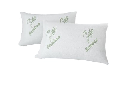 Single Bamboo Memory Foam Pillow!