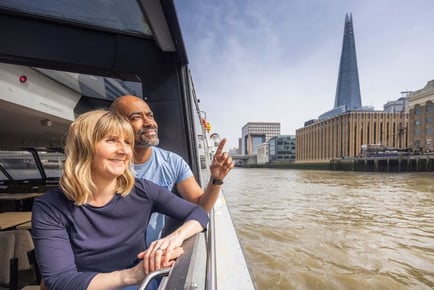 24 Hour Hop On Hop Off Thames River Sightseeing Tickets