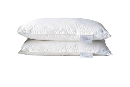 Embrace Silk Pillow