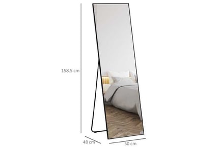 Floor/Wall Mount Full Length Mirror