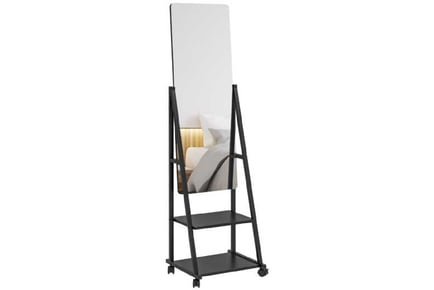 Free Standing Mirror on Wheels