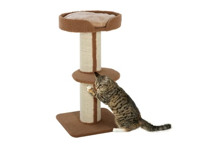 PawHut Luxury Sisal Two-Tier Indoor Cat Post!