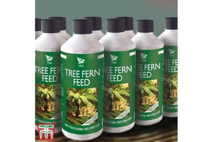 Tree Fern Plant Feed 500ml Bottle