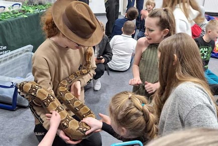 1hr Exotic Animal Handling Experience - Reptizoo, Wishaw