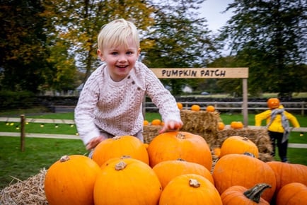 Loch Lomond Scary Trail and Pumpkin Patch Tickets - For 2, 3 or 4