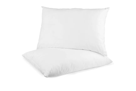 Goose Feather & Down Pillows - Pack of 2 or 4