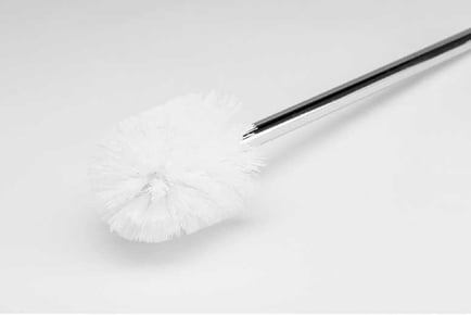 Toilet Brush and Frosted Glass Holder