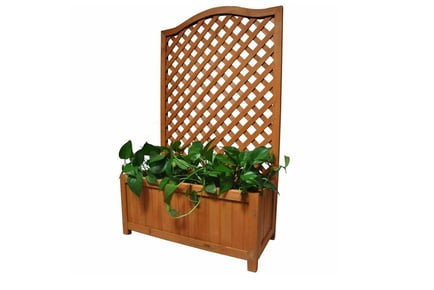 Wooden Garden Planter with Lattice Trellis for Vines & Flowers