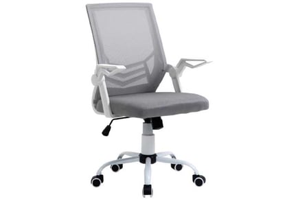 Mesh Office Chair w/ Lumbar Support