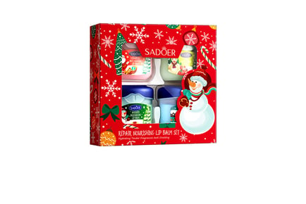 4pc Christmas Moisturising Lip Balm Set