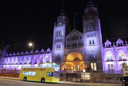 Panoramic London Night Time Bus Tour With Live Guided Tour - Child or Adult Tickets - See London By Night