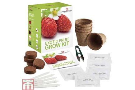 Seed Grow Kit Exotic Fruit