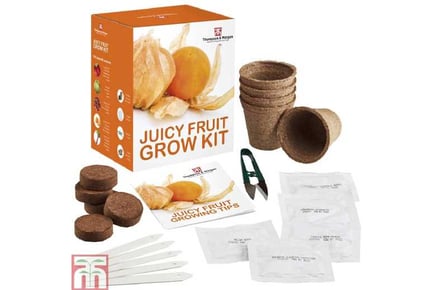 Juicy Fruit Seed Grow Kit