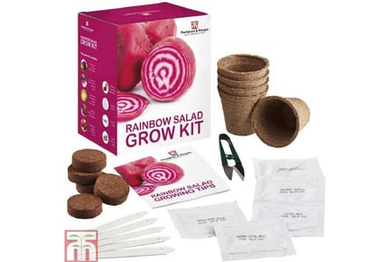 Seed Grow Kit Rainbow Salad