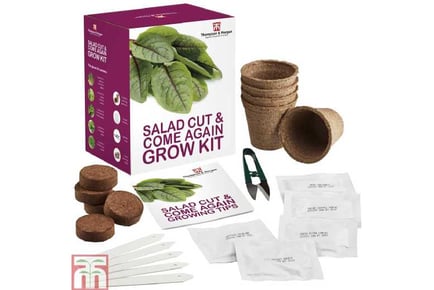 Cut & Come Again Seed Seed Grow Kit