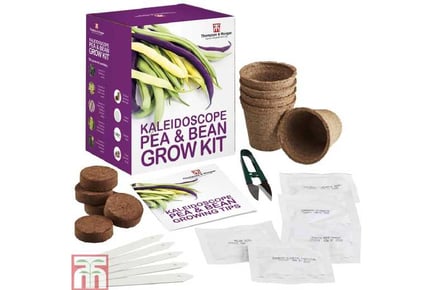 Seed Grow Kit Kaleidoscope Pea + Bean