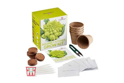 Seed Grow Kit Gourmet Kitchen