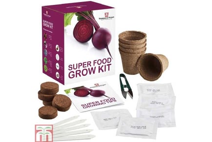 Seed Grow Kit Super Food