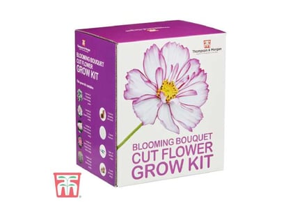 Seed Grow Kit Cut Flower