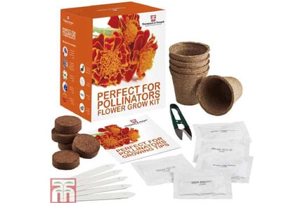 Pollinators Flower Seed Grow Kit