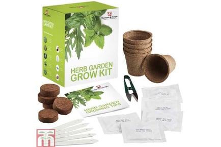 Seed Grow Kit Herb Garden