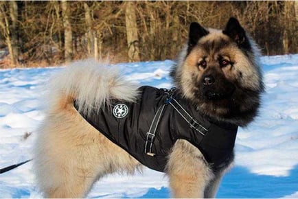 Water-Resistant Warm Dog Harness Coat