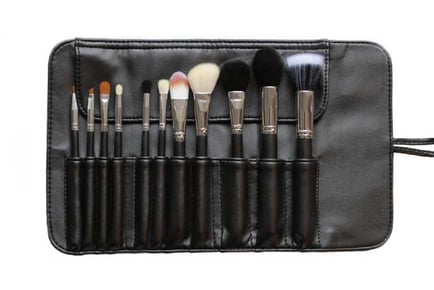 11pc iB Makeup Brush Sets & Carry Case