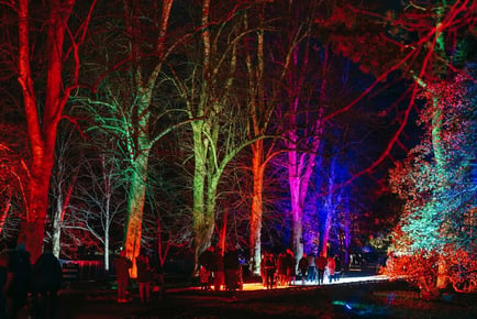 Christmas at Bute Park Enchanted Trail for 2-4 - Bute Park, Cardiff - Family Tickets Available