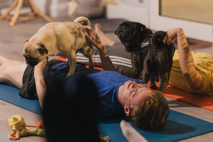 60-Minute Puppy Yoga Session for Kids and Adults - Elephant & Castle