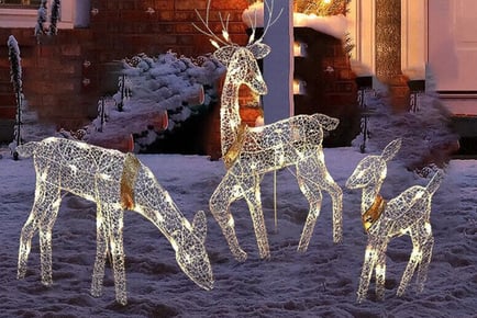 3D Illusion LED Reindeer Christmas Decoration - 3 Sizes!