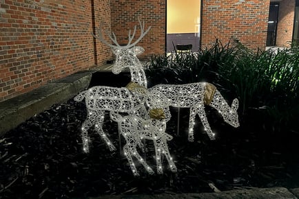 3D Illusion LED Reindeer Christmas Decoration - 3 Sizes!