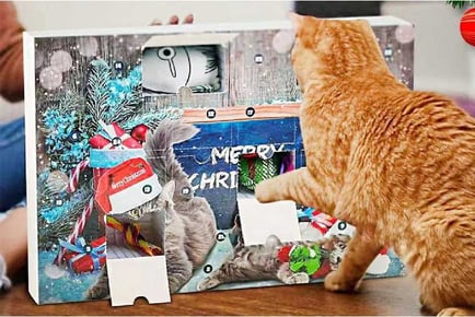 2024 Cat Toys Christmas Advent Calendar