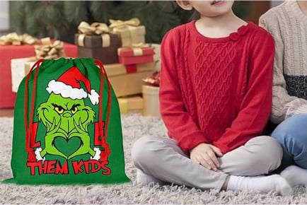 Grinch Inspired Christmas Gift Bag