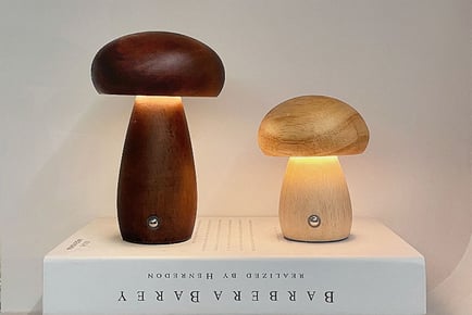 LED Rechargeable Mushroom Light - 2 Sizes & 2 Colours