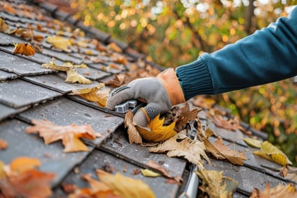 Gutter Cleaning Service - Single, Double, Three Storey - Wow Gutters