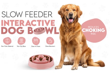 Slow Feeder Dog Bowl