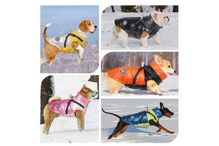 Warm Dog Glossy Jacket