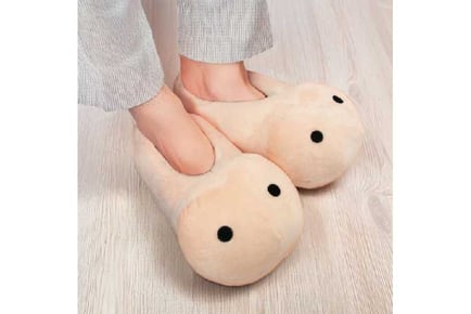 #Winning Willy Slippers