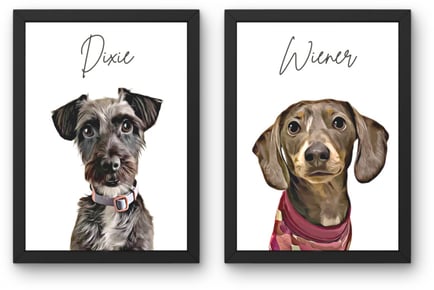 Custom Pet Portrait - Get a 50% Discount at pet-portraits.co - 5 Star Reviews!