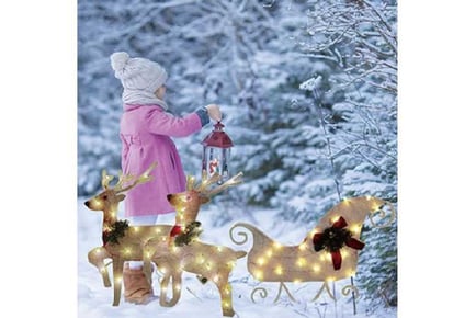 Enchanting Christmas Sleigh '--'&'--' Reindeer Light Set