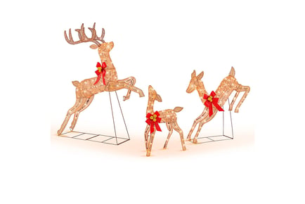 Reindeer Christmas Decoration Set with LED Lights - 2 Options