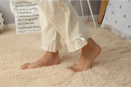 Soft Shaggy Plush Rug Home Decor Carpet