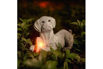 Solar Dog With Shoe