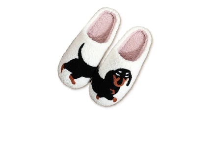 Cute Cartoon Animal Print Slippers - 5 Sizes & 5 Designs