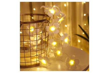 30 LEDs Solar Flower Fairy String Lights