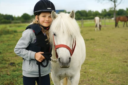 2 Hours Pony Trekking - Severnwye Equestrian, Gloucestershire - Perfect Gift!