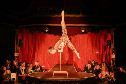 Revel Puck's Winter Festival Presents: The Ruckus Circus, Entry Ticket - Walthamstow Town Hall